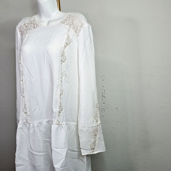 🎉Host Pick 🎉 BCBGMAXAZRIA Jayn Lace-Trim Dress - Picture 5 of 7